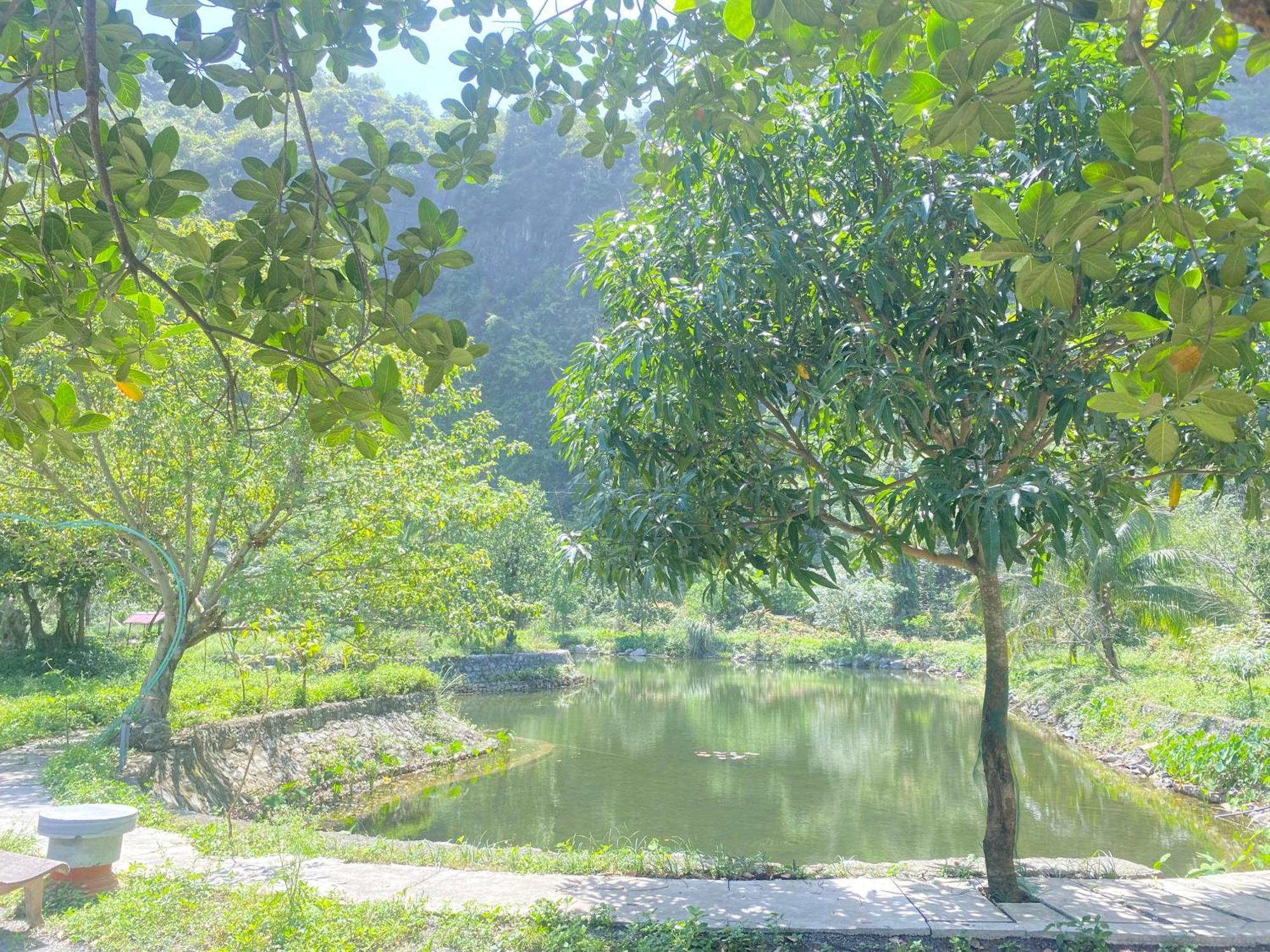 Tam Coc Moutainside Homestay Ninh Binh Bagian luar foto